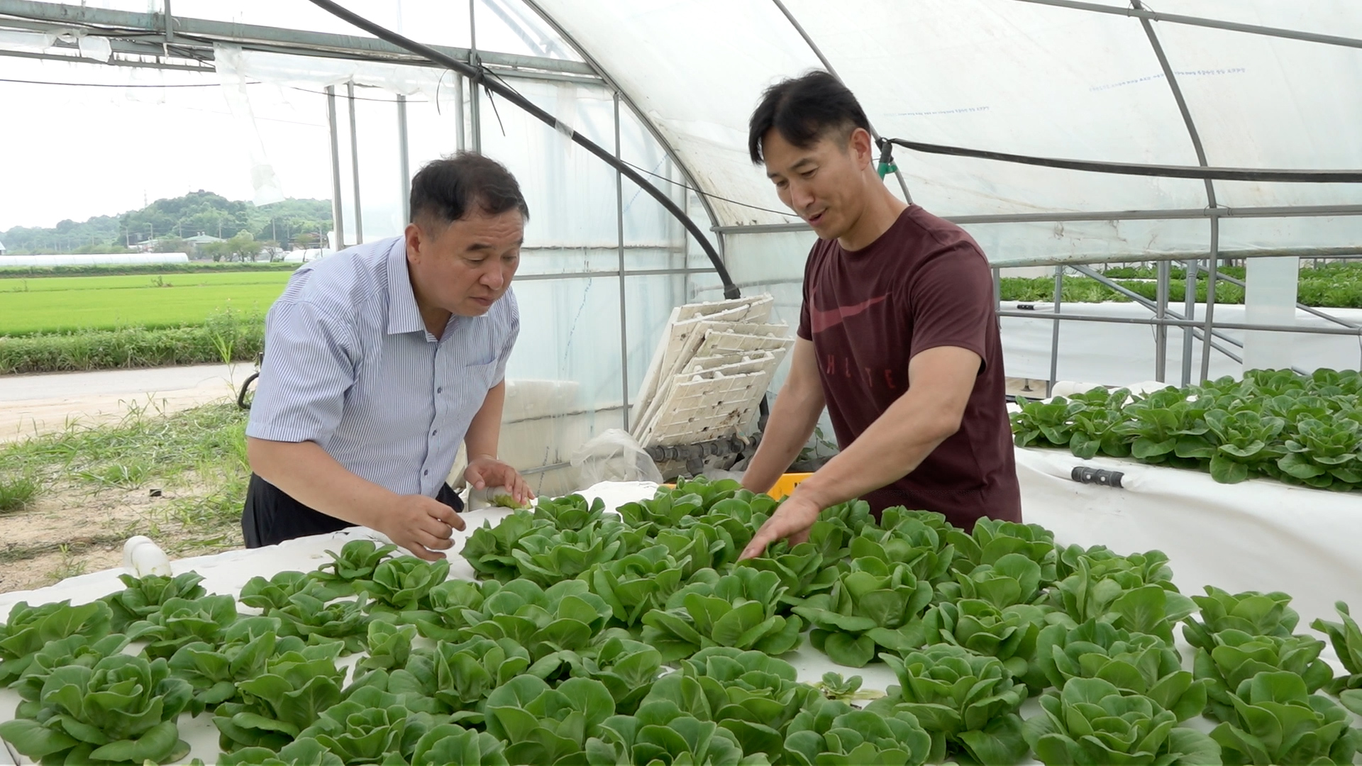 農産物・生鮮食品のオンライン市場で生き残る方法！wadizストアを通じて流通の拡大まで！？